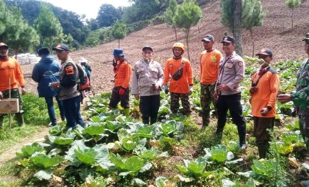 Penghijauan 10 Ribu pohon di Brebes Peringati Hari Santri dan Sumpah Pemuda