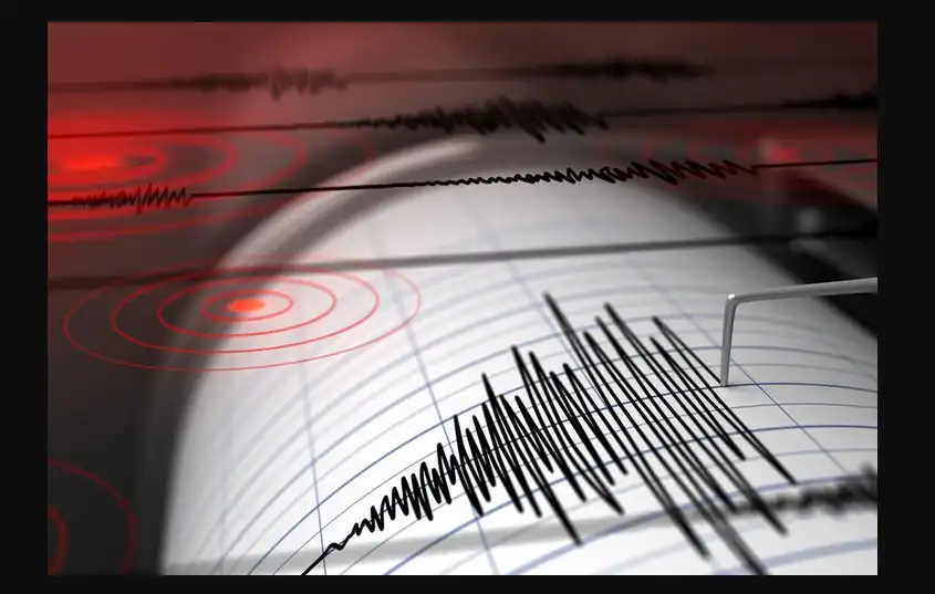 Ilustrasi Getaran Gempa BMKG