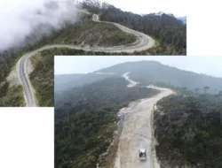 Progres Terbaru Pembangunan Jalan Trans Papua Mei 2023