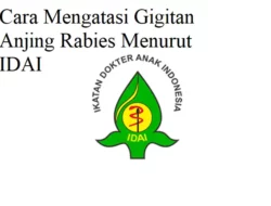 Cara Mengatasi Gigitan Anjing Rabies Menurut IDAI