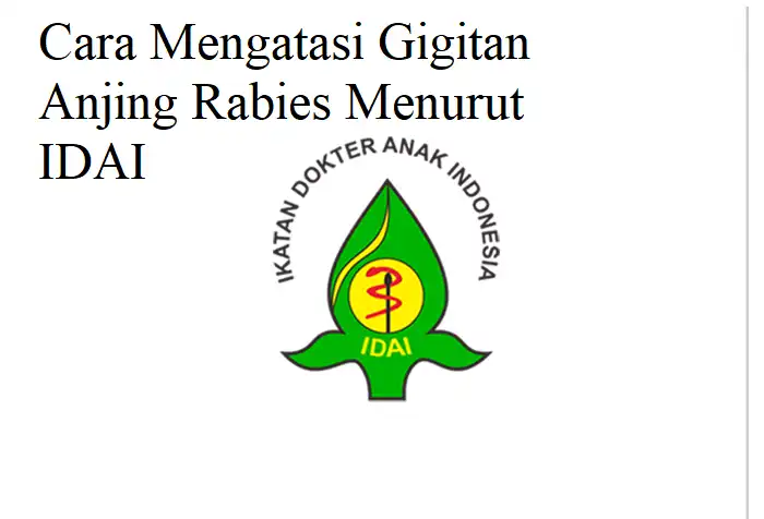 Cara Mengatasi Gigitan Anjing Rabies Menurut IDAI