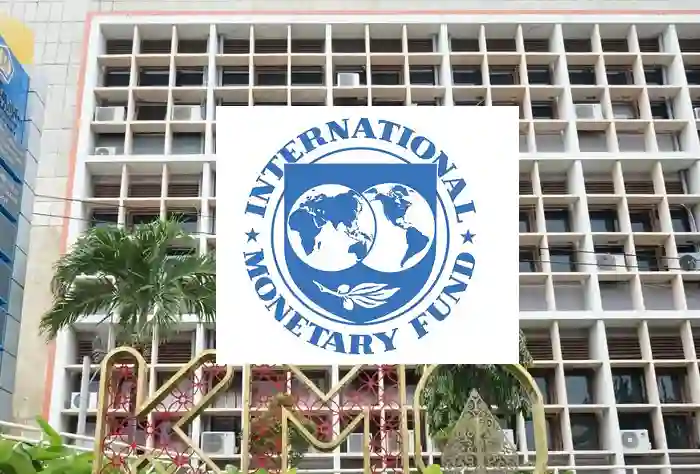 IMF Minta Indonesia Hapus Bertahap Larangan Ekspor Nikel
