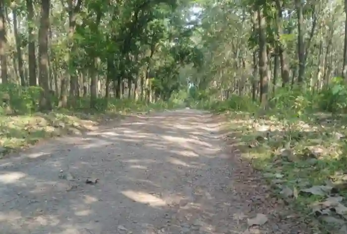 Jalan Masuk Desa Peguyangan Pemalang Rusak Parah, Warga Berharap Segera Diperbaiki