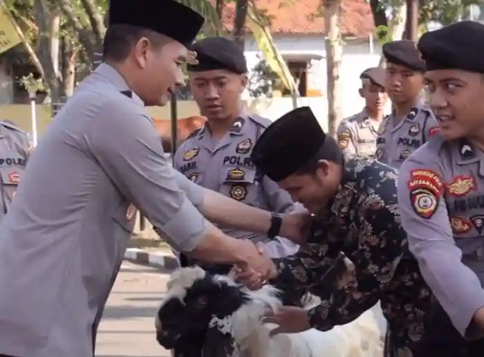 Polres Pemalang Bagikan 31 Kambing dan 2 Sapi Kurban ke Pengurus Masjid