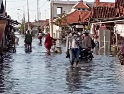 Banjir Rob Parah di Brebes, 1000 KK dan 800 Ha Tambak Terkena Dampak