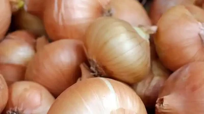 Bawang putih adalah kebutuhan orang indonesia