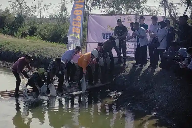 Budidaya Bandeng di Ujungwatu Jepara Diharapkan Jadi Ikon Baru