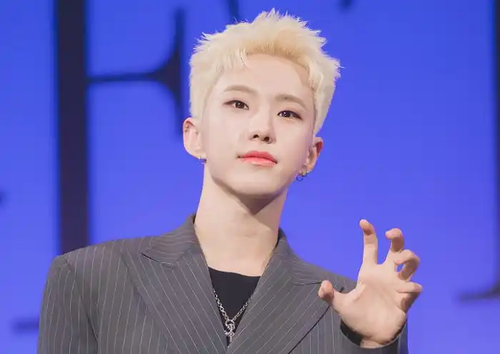 Hoshi SEVENTEEN Ungkap Kesulitan Mengadakan Konser Tambahan