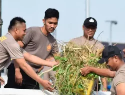 Polres Tegal Kota Gotong Royong Bersihkan Sampah di Kaligung