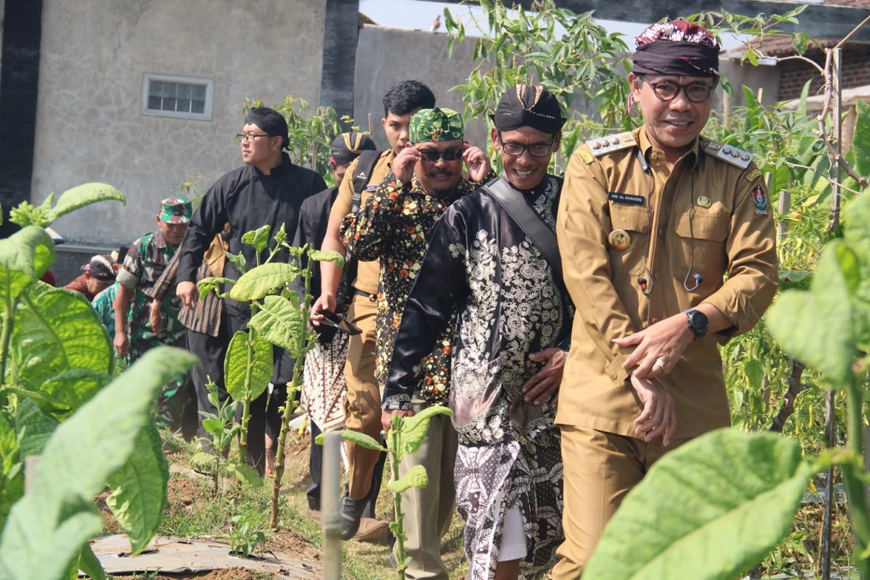 Petani Tembakau di Gunung Prau Gelar Wiwitan Panen Mbako