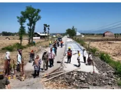 Bupati Tegal Umi Azizah Tinjau Perbaikan Jalan dan Pembangunan Jembatan