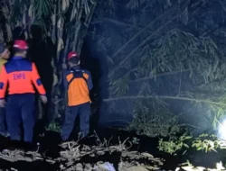 Oknum Warga Bakar Sampah, Lahan 3,5 Hektare di Bumijawa Terbakar