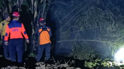 Oknum Warga Bakar Sampah, Lahan 3,5 Hektare di Bumijawa Terbakar