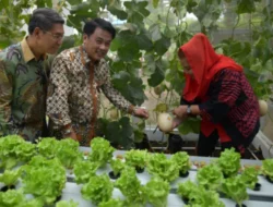 Teknologi Pertanian Canggih di Sekolah Nusaputera Bikin Wali Kota Semarang Terpukau