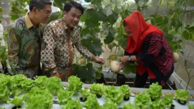 Teknologi Pertanian Canggih di Sekolah Nusaputera Bikin Wali Kota Semarang Terpukau