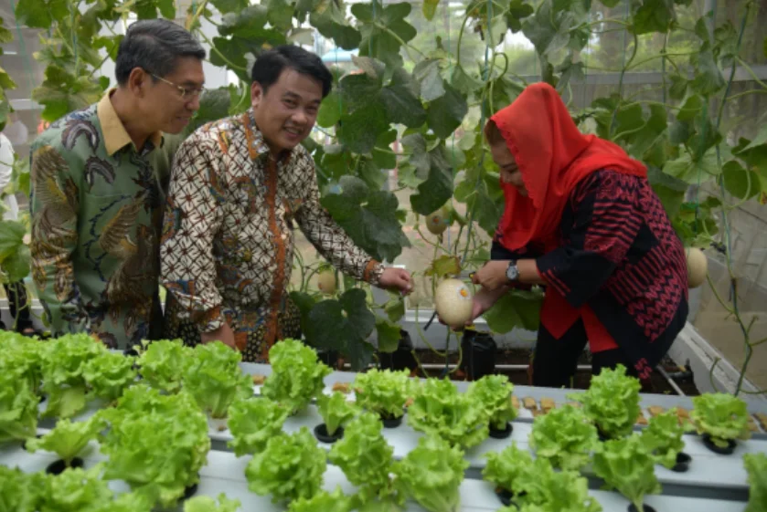 Teknologi Pertanian Canggih di Sekolah Nusaputera Bikin Wali Kota Semarang Terpukau